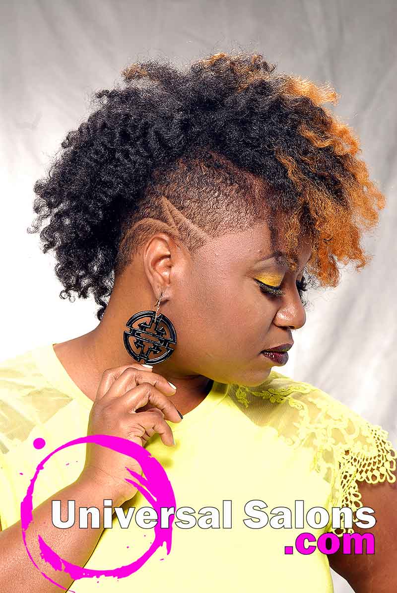 Natural Black Hairstyle with tapered Sides