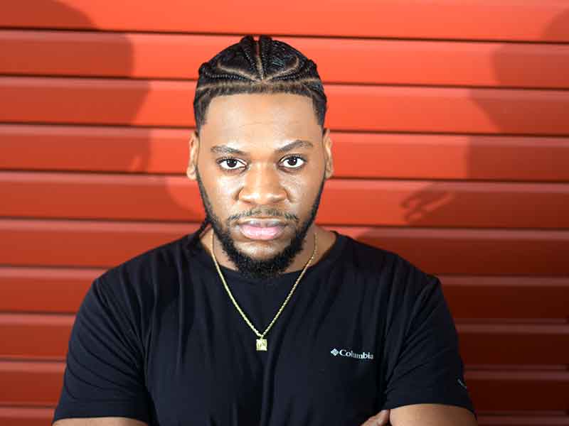 Check Out Mylindra Diggs Cool Braids for Men Hairstyle