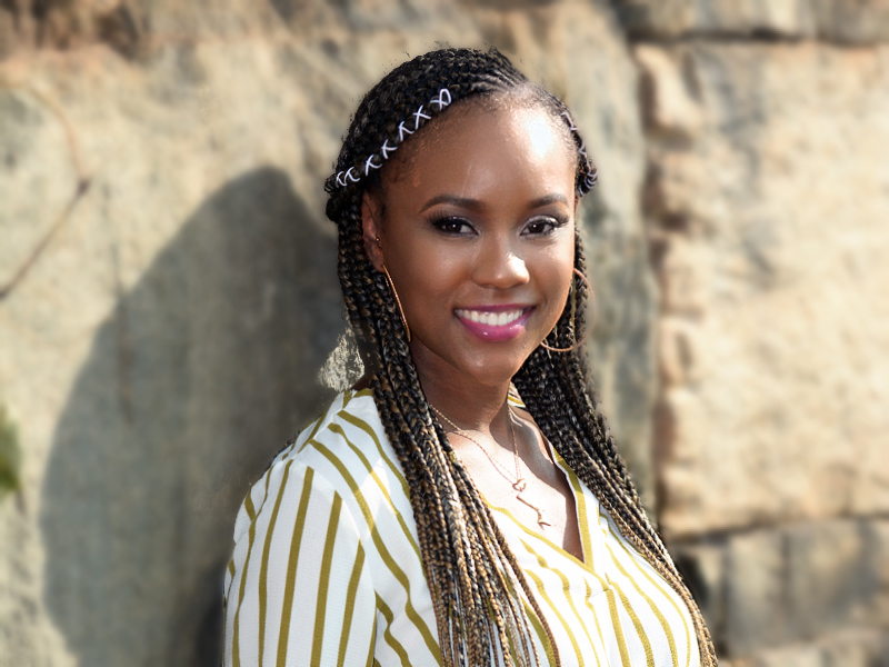 Braided Hairstyle with Honey Blonde Highlights and Accents