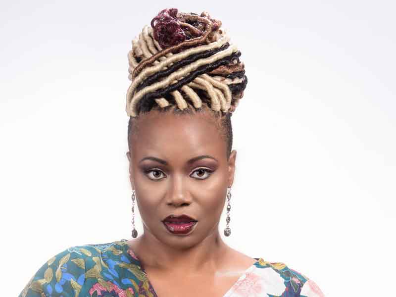 Faux Locs Hairstyle with Hair Color